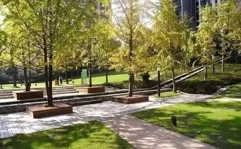 树阵景观的植物配置要点