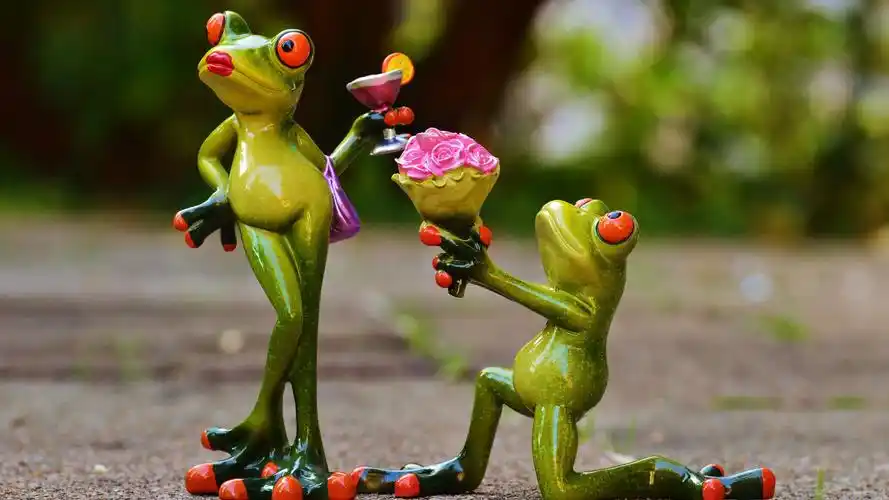 爱情 请你原谅 玫瑰求爱 青蛙创意求爱图片壁纸