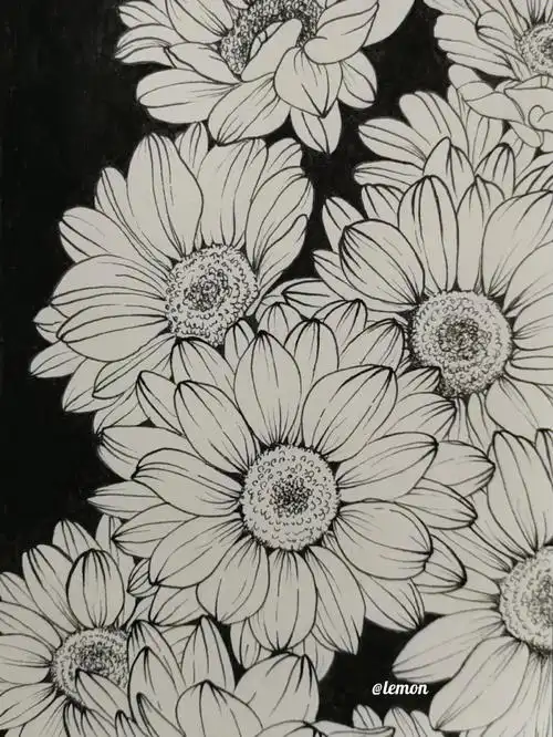 针管笔手绘小雏菊20221030