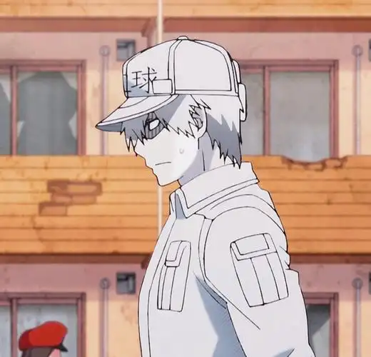 工作细胞白细胞头像