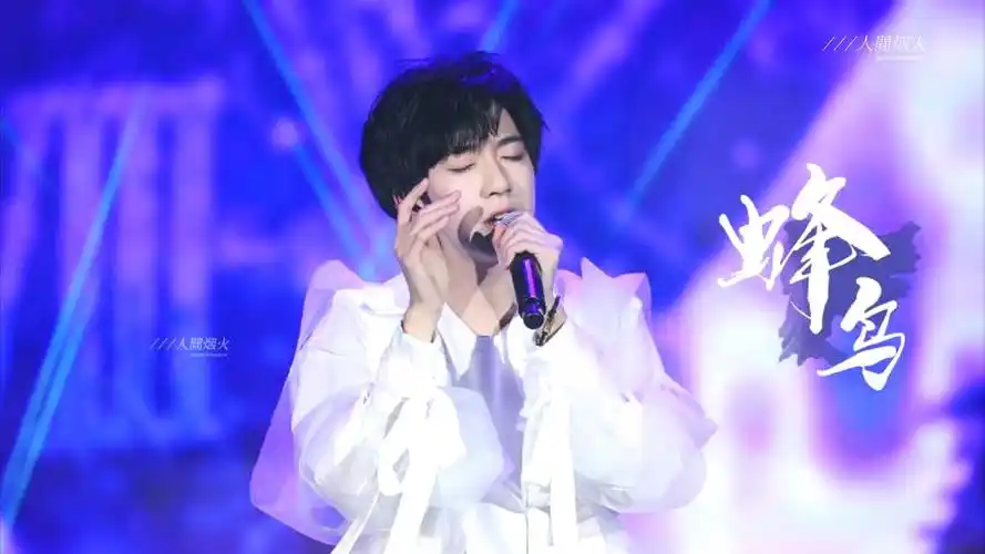 贺峻霖月光少年演唱蜂鸟