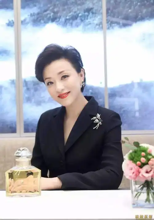 杨澜丈夫是谁杨澜二婚嫁富豪成就事业