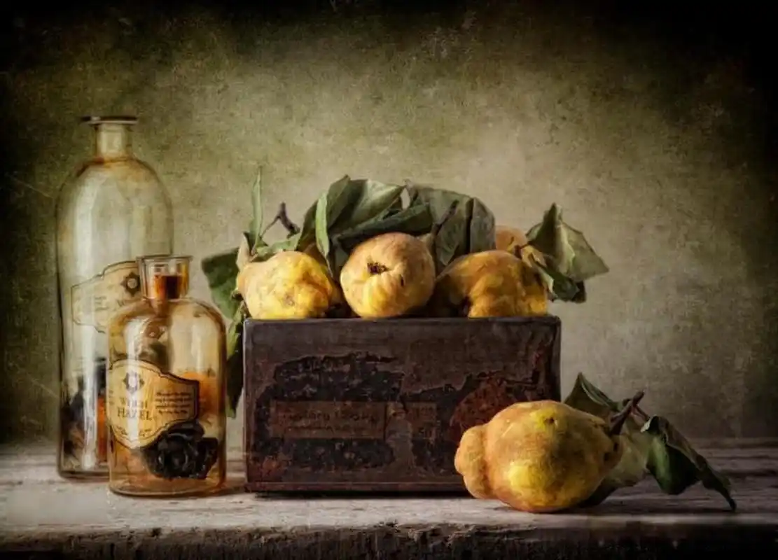 【古典风格静物摄影作品】 摄影师:ron lavèn