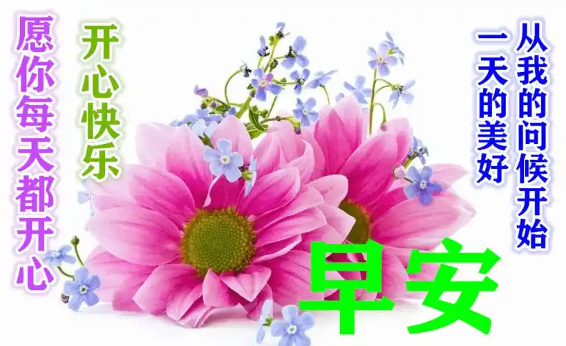 9月15日早上好动态表情图片大全,早晨好动图美图大全