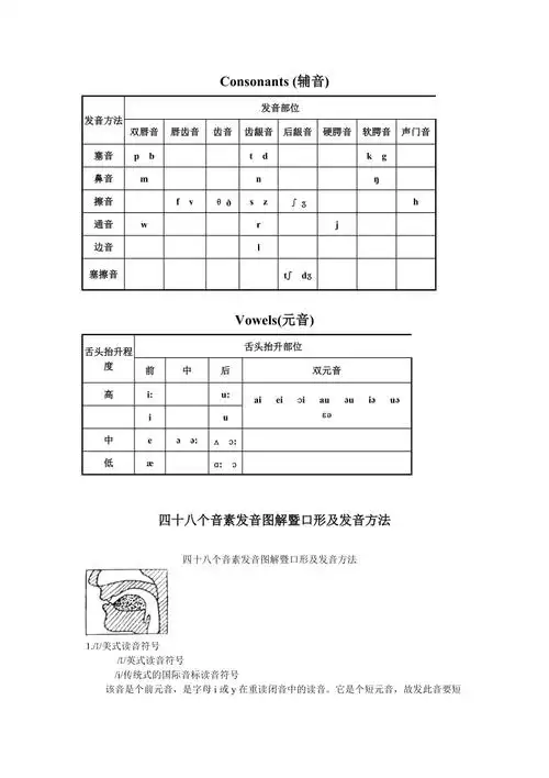 国际音标发音舌位图docx