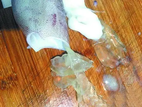 鱿鱼有卵才好吃?