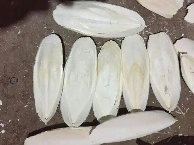 中药材批发 乌贼骨 海螵蛸 墨鱼骨