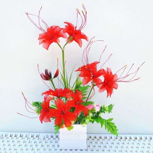 丝网花彼岸花材料包套餐收到材料雨儿姐姐丝网花