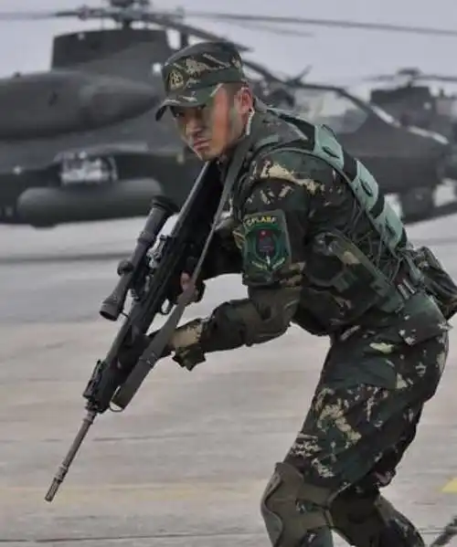 何晨光(电视剧《我是特种兵之利刃出鞘》男一号)_摘编百科