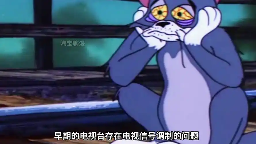 猫和老鼠的灵异事件