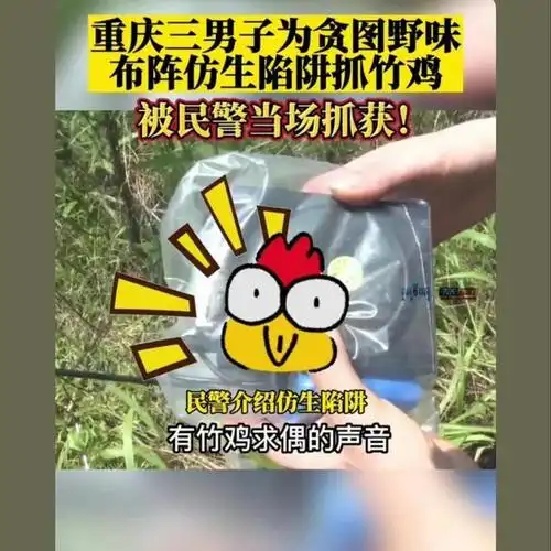 诱捕竹鸡犯法吗?带着这些问题我们接着往下看.
