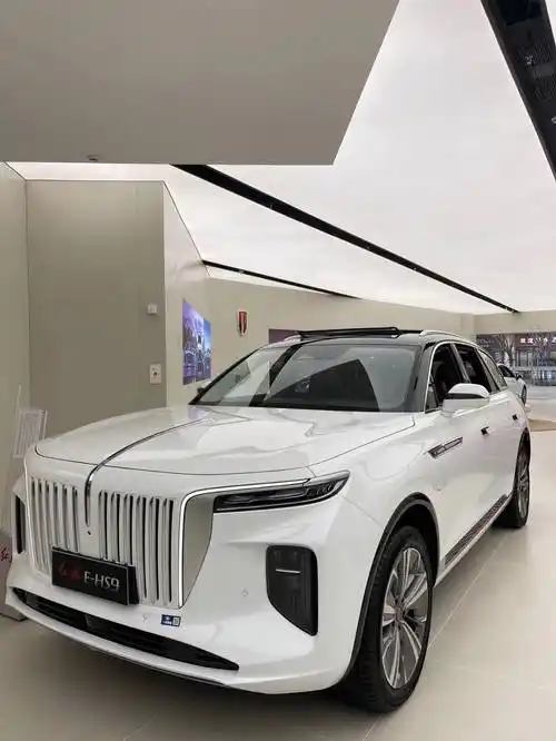 98万元起!产品力进一步增强,红旗e-hs9正式上市_搜狐汽车_搜狐网