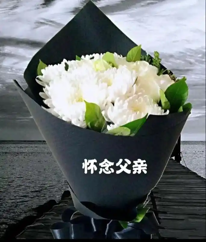 想念我的父亲.亲亲老父亲,提笔成思,落笔成念,黯然神伤,唯祝 - 抖音