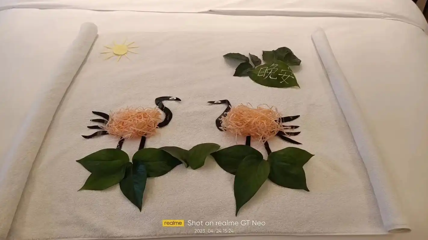 91草长莺飞,原野青翠91 #酒店客房个性化床面布置#用最好 - 抖音