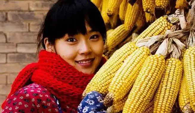 温州一家人穆禾禾结局 张佳宁凭此剧获最佳女新人奖