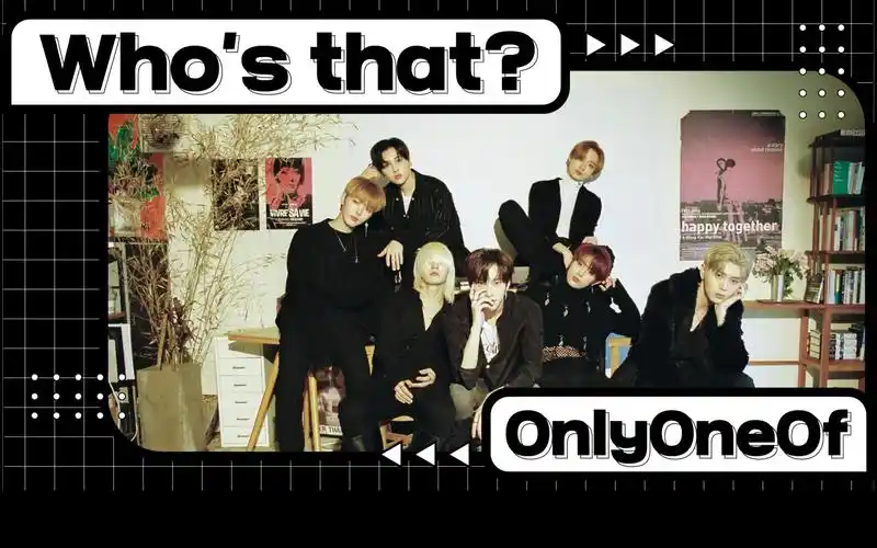 onlyoneof介绍组合世界观安利向