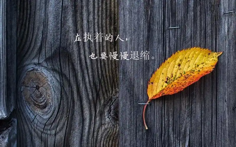 树叶黄了人心凉了带字图片