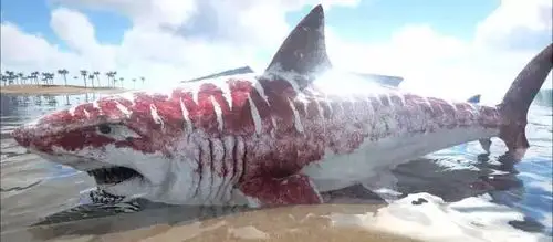 十大最凶猛史前海洋怪兽排名第一的毫无争议