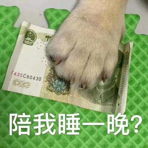 妈让我再睡5分钟喵星人表情包制作gif图表情