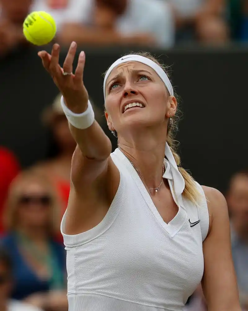 网球|温网:科维托娃晋级女单十六强