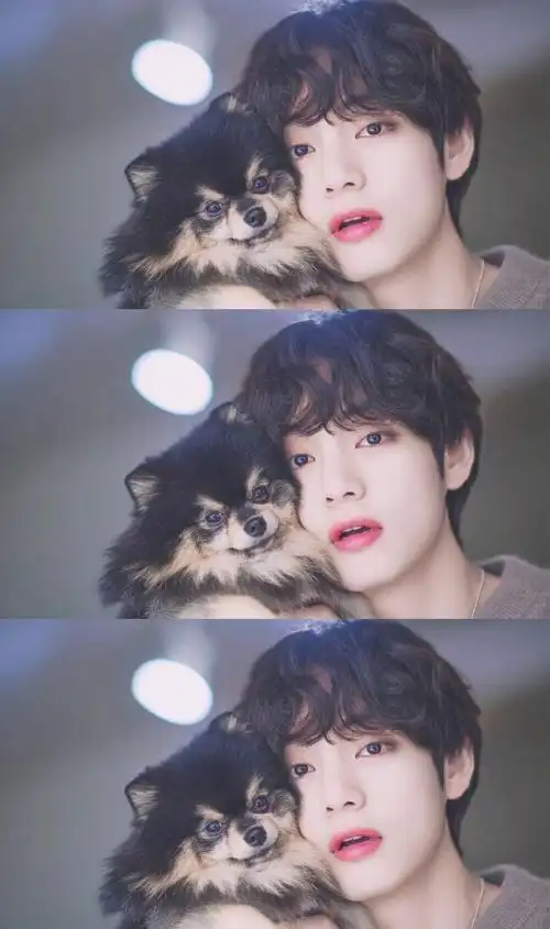 自修壁纸三屏bts金泰亨