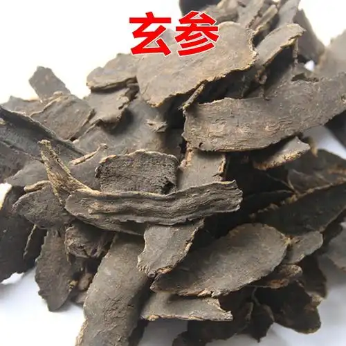 黑玄参的功效与作用中药玄参的功效治热病泄降下行有通腑之功