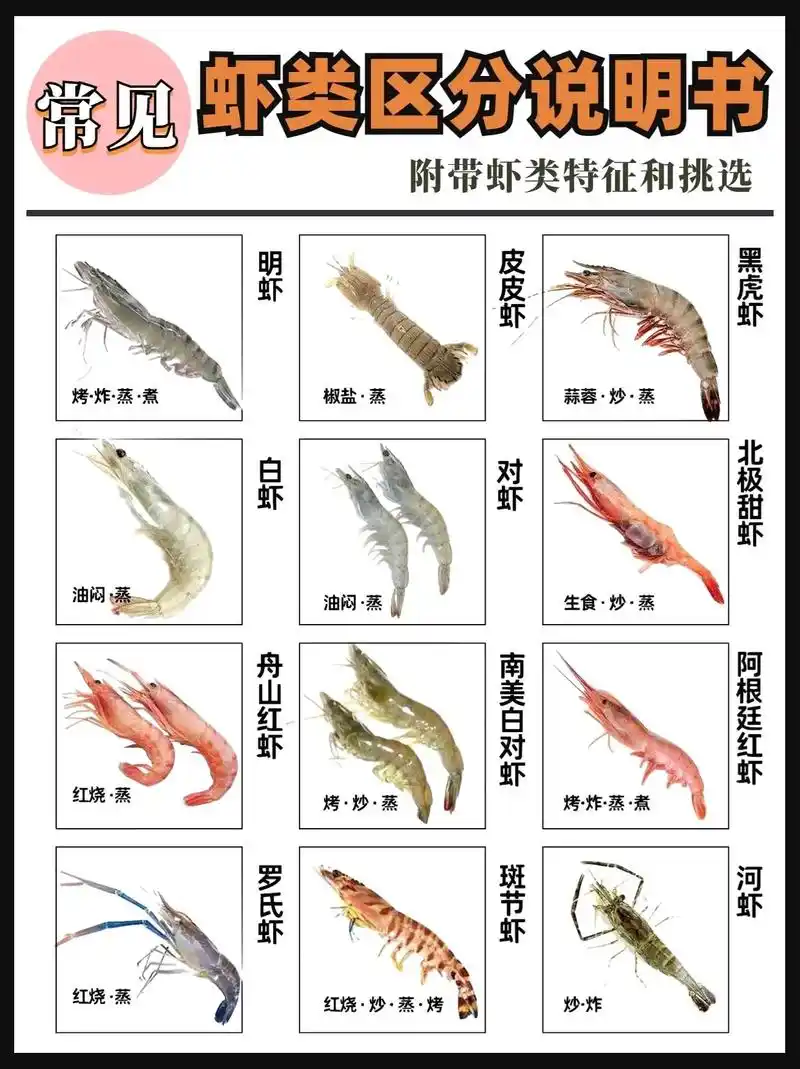 常见虾08区分特征说明书97||#美食教程 #大虾 #海鲜  - 抖音