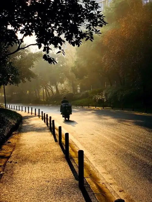 初冬的早晨太阳升起温暖而充满希望