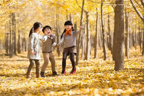 三个小孩在秋日的树林里嬉戏