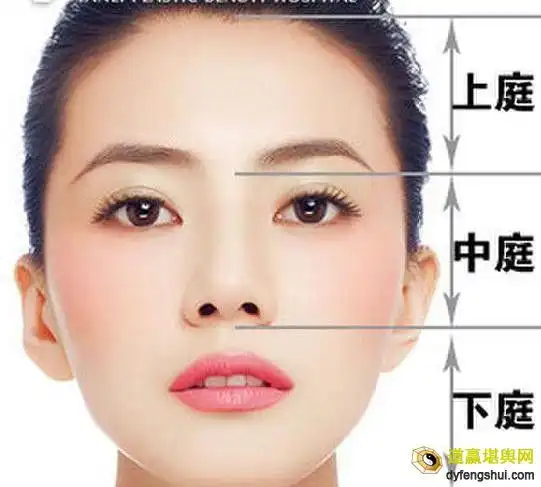中庭短下庭长面相2021-10-04 10:51:20从人中看一个人的性格和