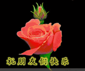 今年最好笑40个汉字笑话哈哈哈