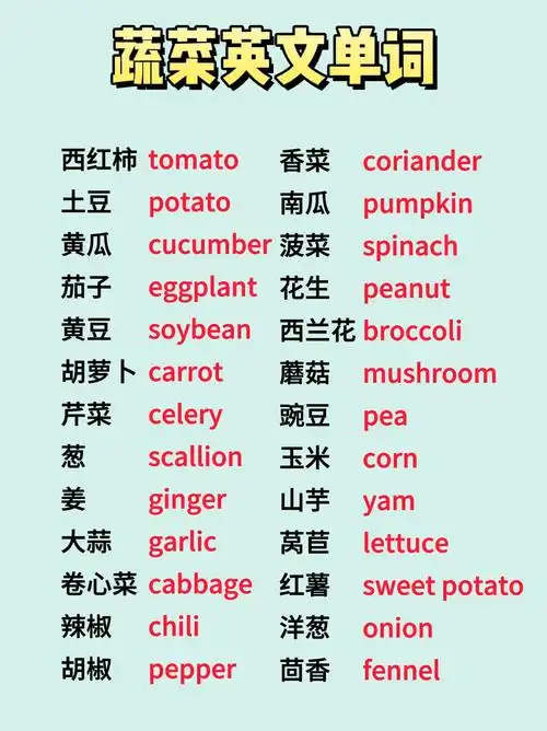 蔬菜英文单词