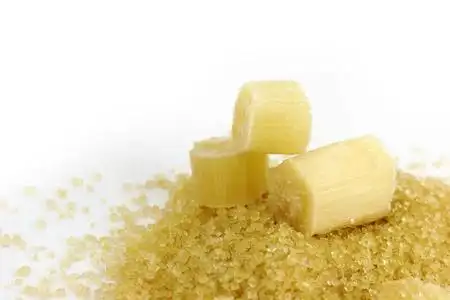 桩甘蔗甘蔗,甘蔗渣,甘蔗渣,甘蔗渣,白底甘蔗鲜制糖粒照片