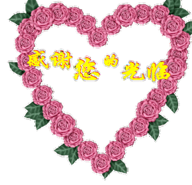 有请支持人!桃子老师!袁嘉敏老师!种种的一切,我除了感谢就是感谢!