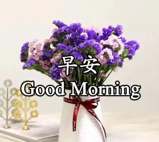 非常漂亮的早安问候语表情图片正能量暖心的感悟句子