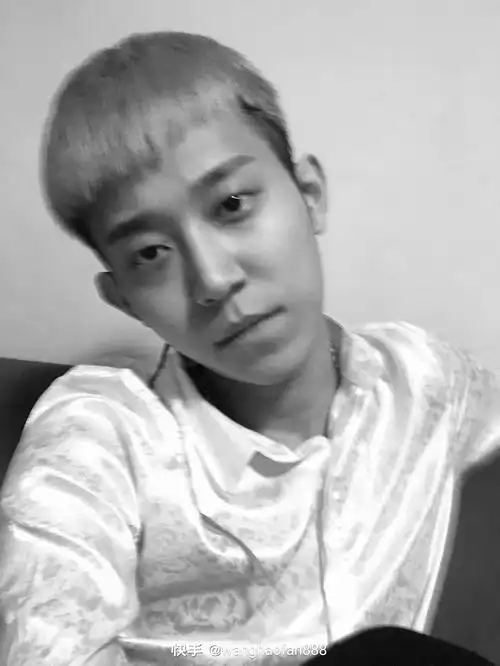 快手鹤轩,邯郸龙头鹤轩个人资料