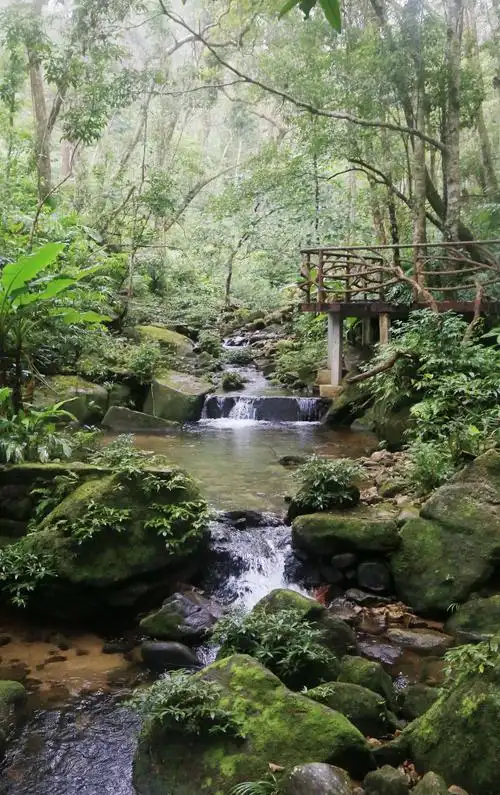 吊罗山枫果瀑布