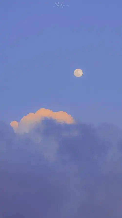 手机壁纸##聊天背景图