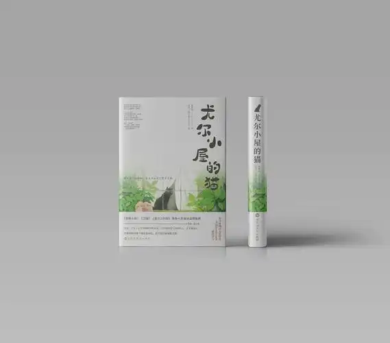书籍封面设计
