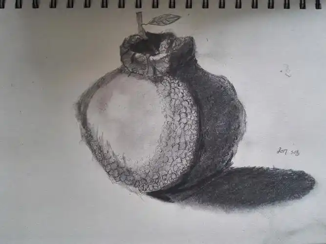 素描作业----丑橘