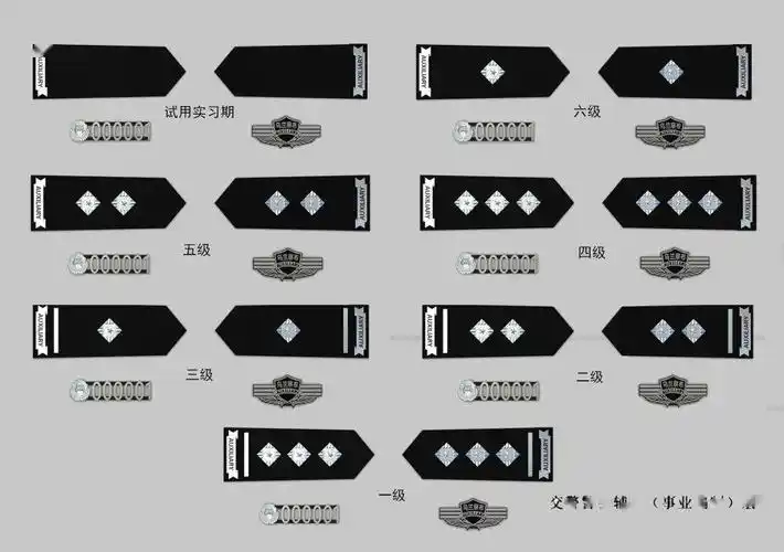 最新款辅警肩章,警号,胸徽很漂亮!