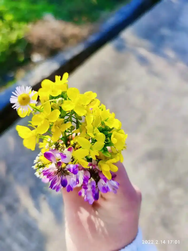 找了几张温柔的照片来配这首炙热的歌