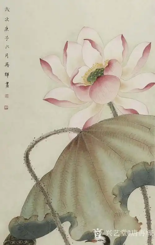 唐再辉国画作品工笔花鸟荷花2