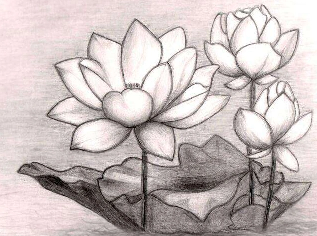 适合初学者的素描简单图片