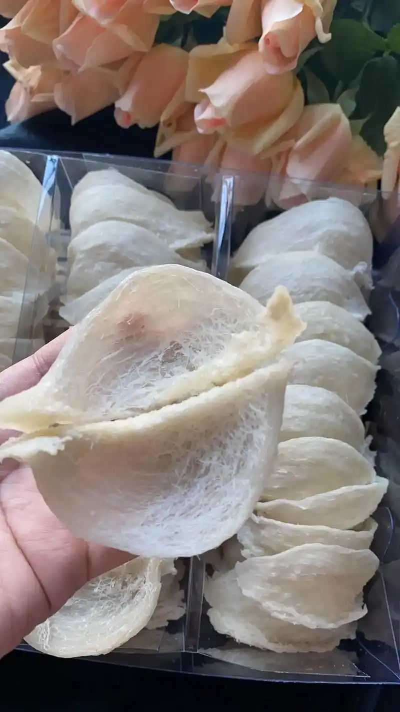 泰国燕窝 厂家直销