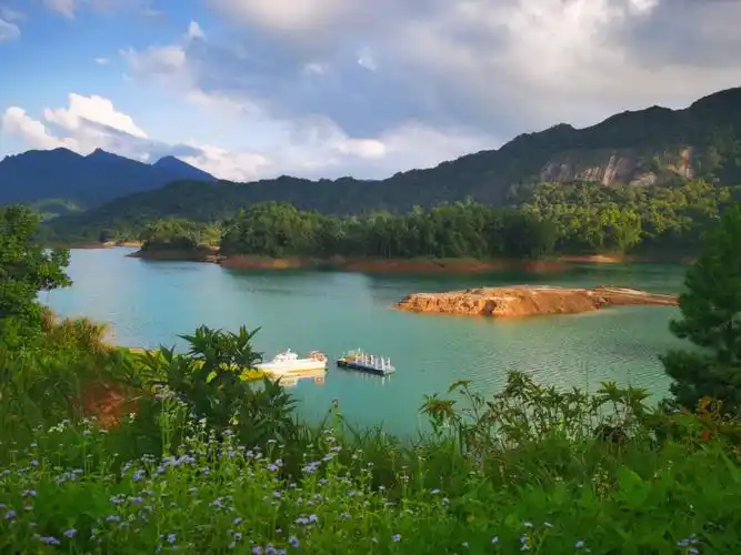 阳春八甲仙家垌露营