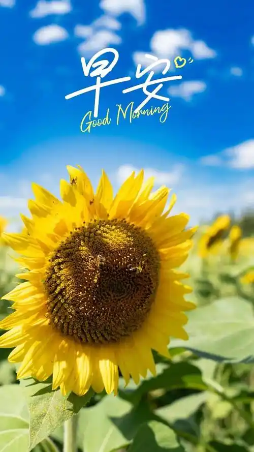 早安励志暖心短句图片