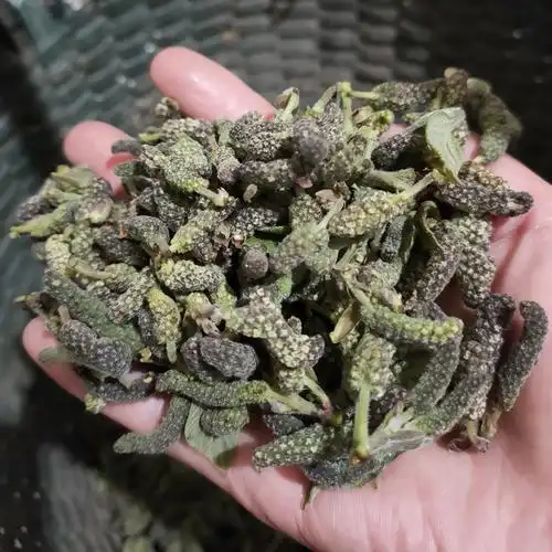 2022年构树穗新鲜构树花蒸菜棒槌儿 1500g【图片 价格 品牌 报价】-京