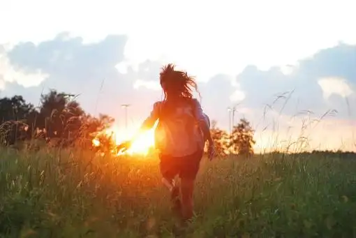 充满希望的文字,葵总是会朝着有阳光的地方生长,不停地生长,自信地