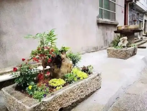 诗画庭院大美乡村这样的美丽庭院谁不想有